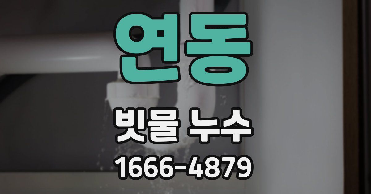 연동 빗물 누수