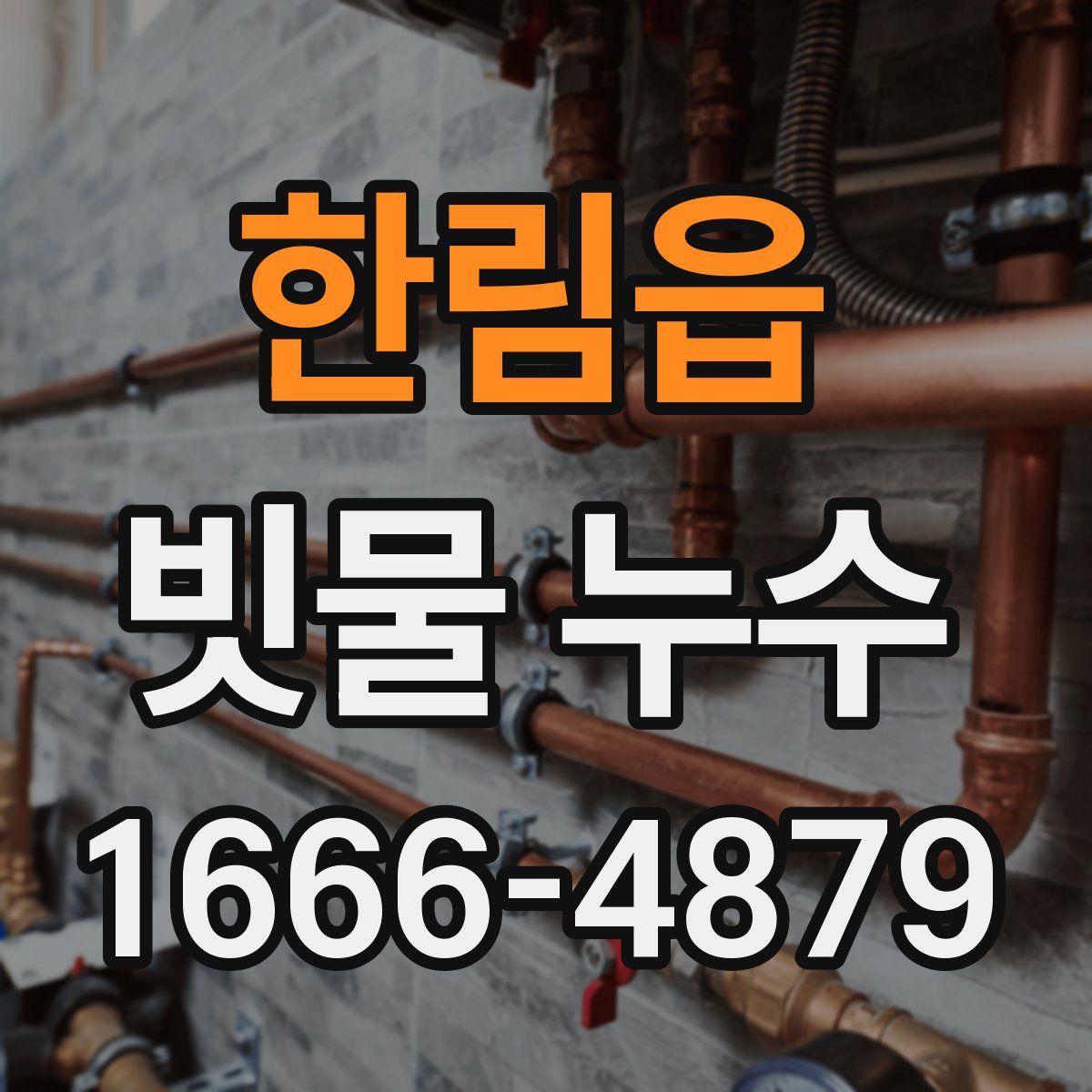 한림읍 빗물 누수