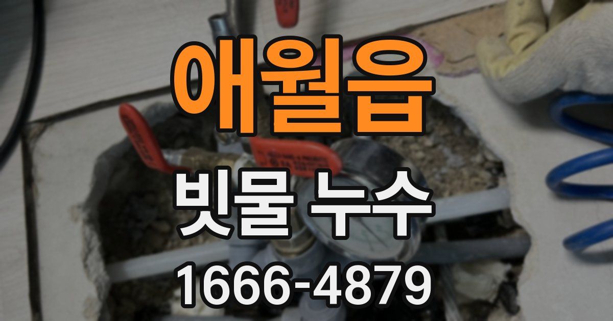 애월읍 빗물 누수