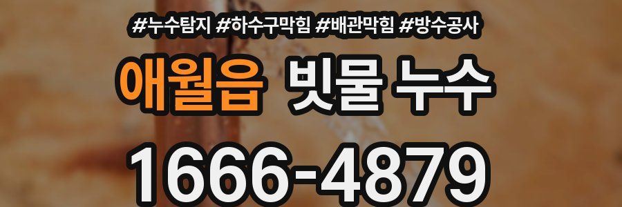 애월읍 빗물 누수