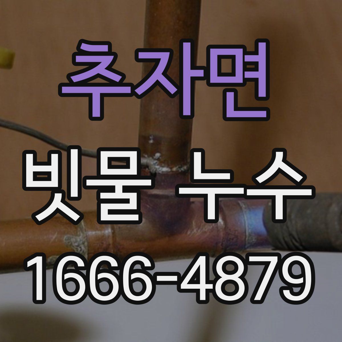 추자면 빗물 누수