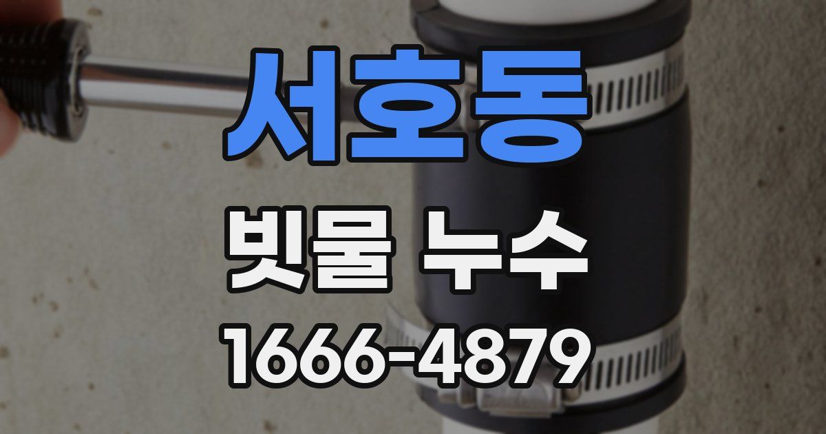 서호동 빗물 누수