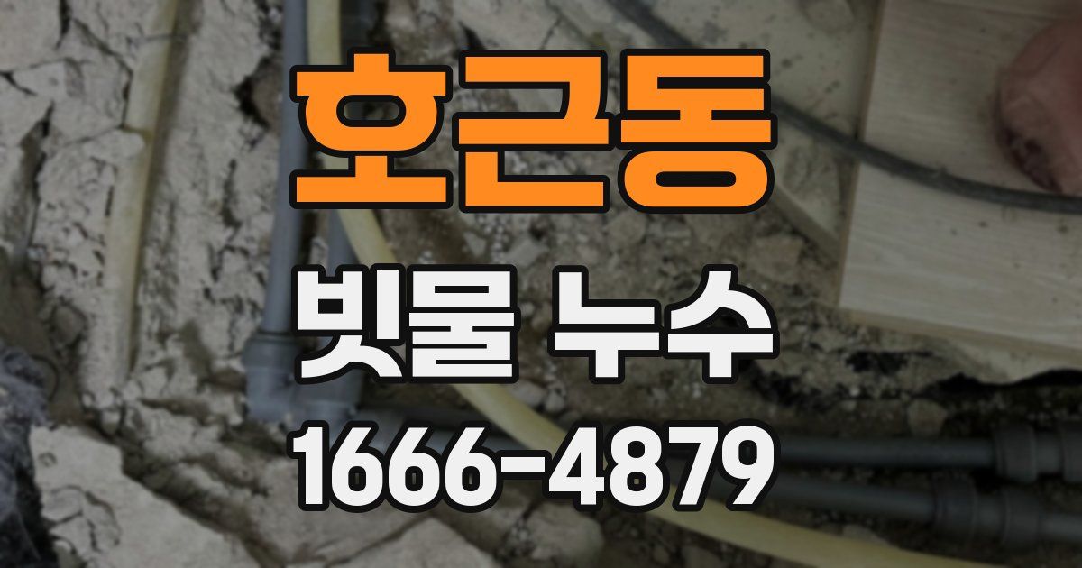 호근동 빗물 누수