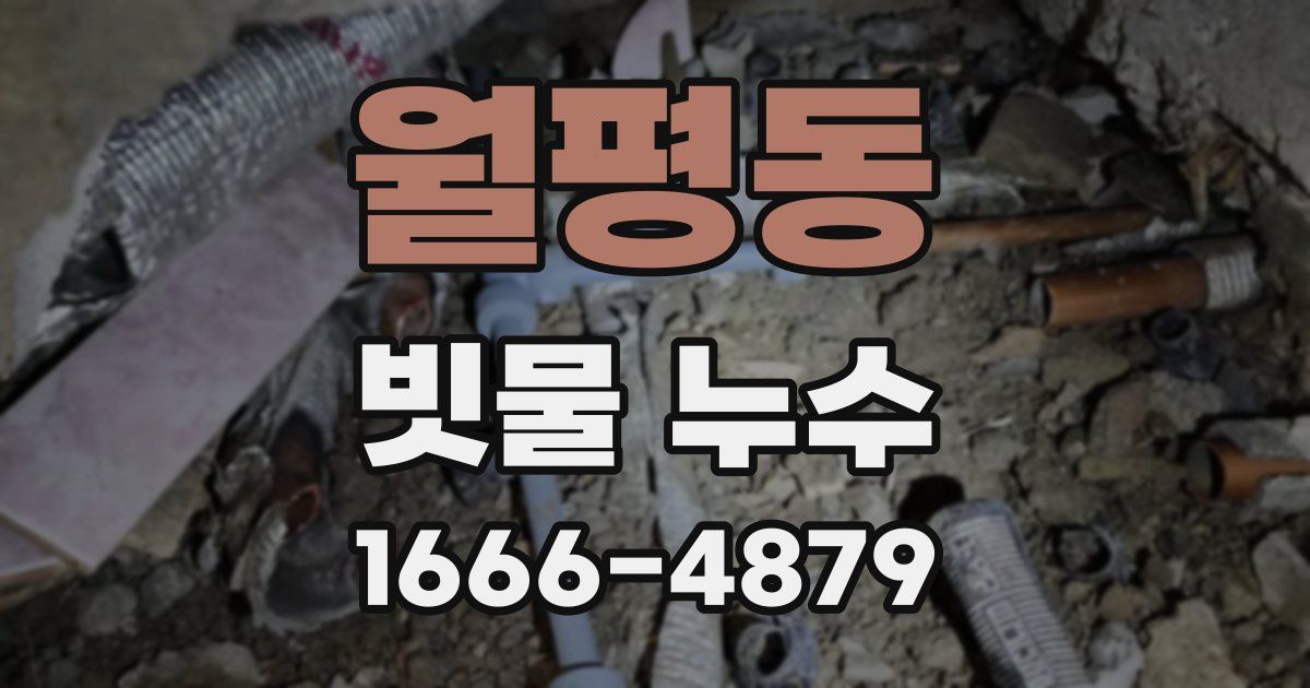 월평동 빗물 누수
