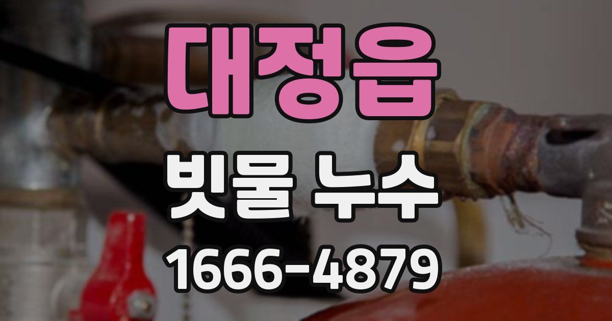 대정읍 빗물 누수
