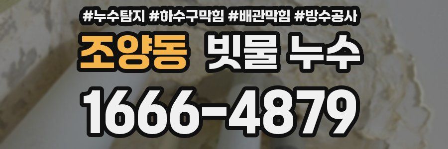 조양동 빗물 누수