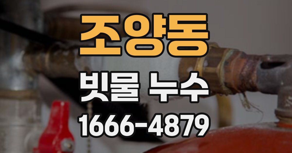 조양동 빗물 누수