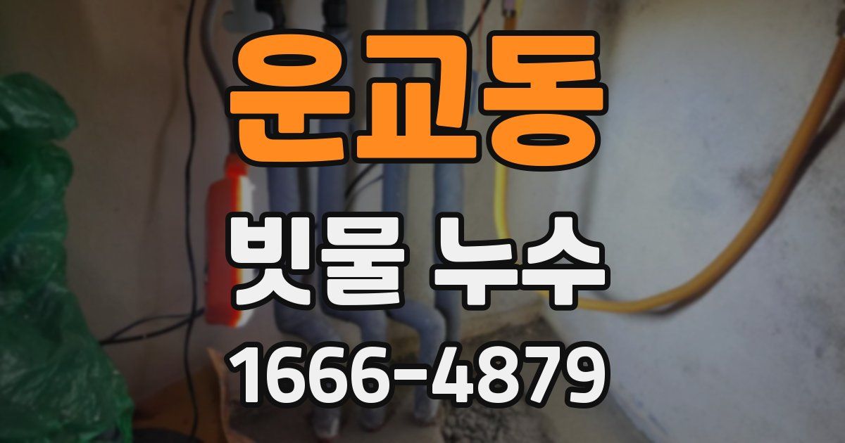 운교동 빗물 누수