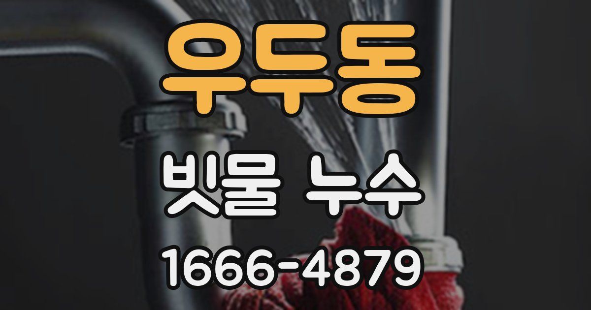 우두동 빗물 누수