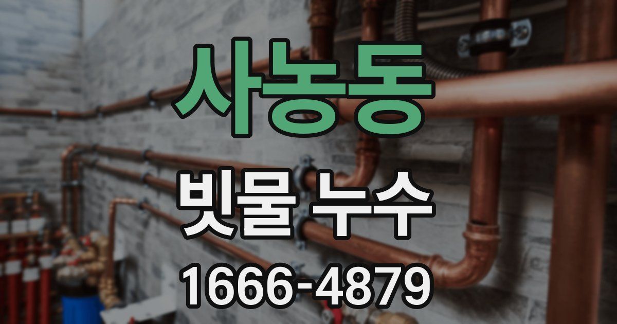 사농동 빗물 누수