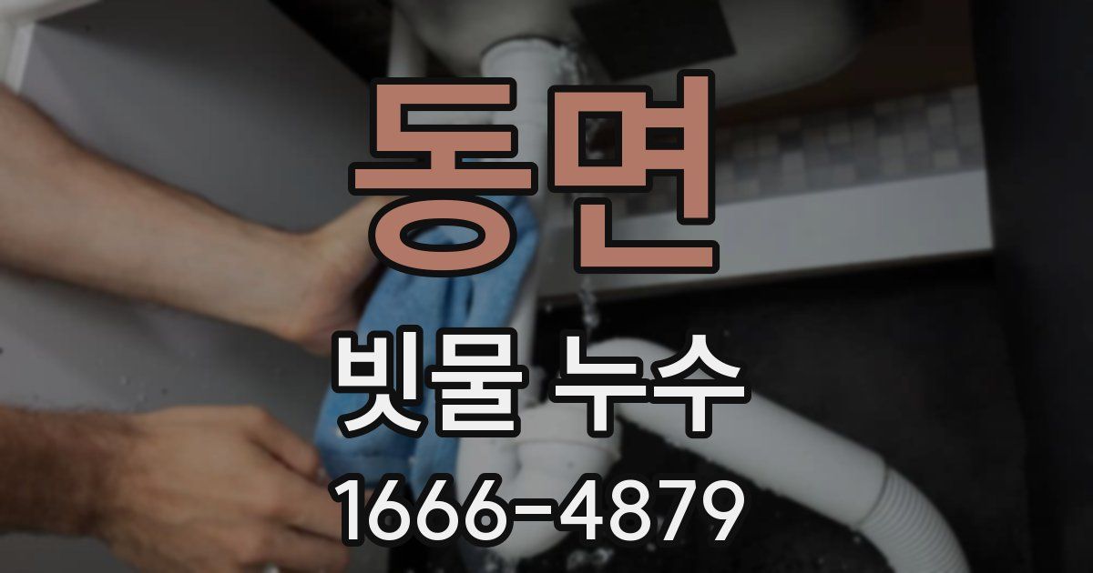 동면 빗물 누수