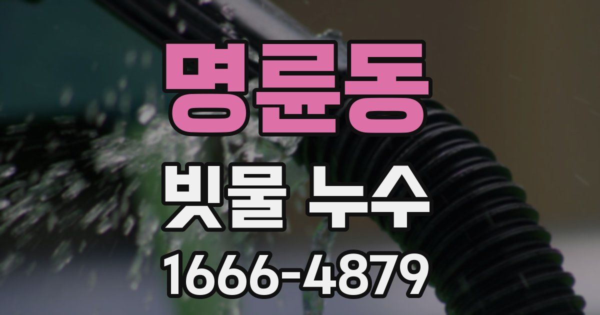 명륜동 빗물 누수