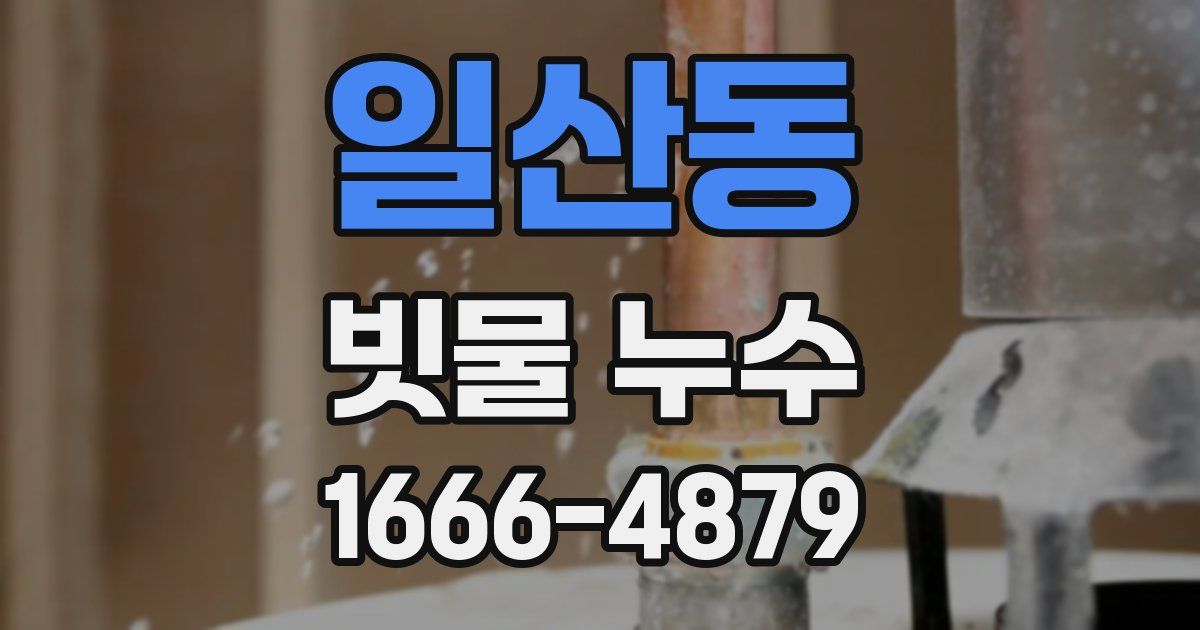 일산동 빗물 누수