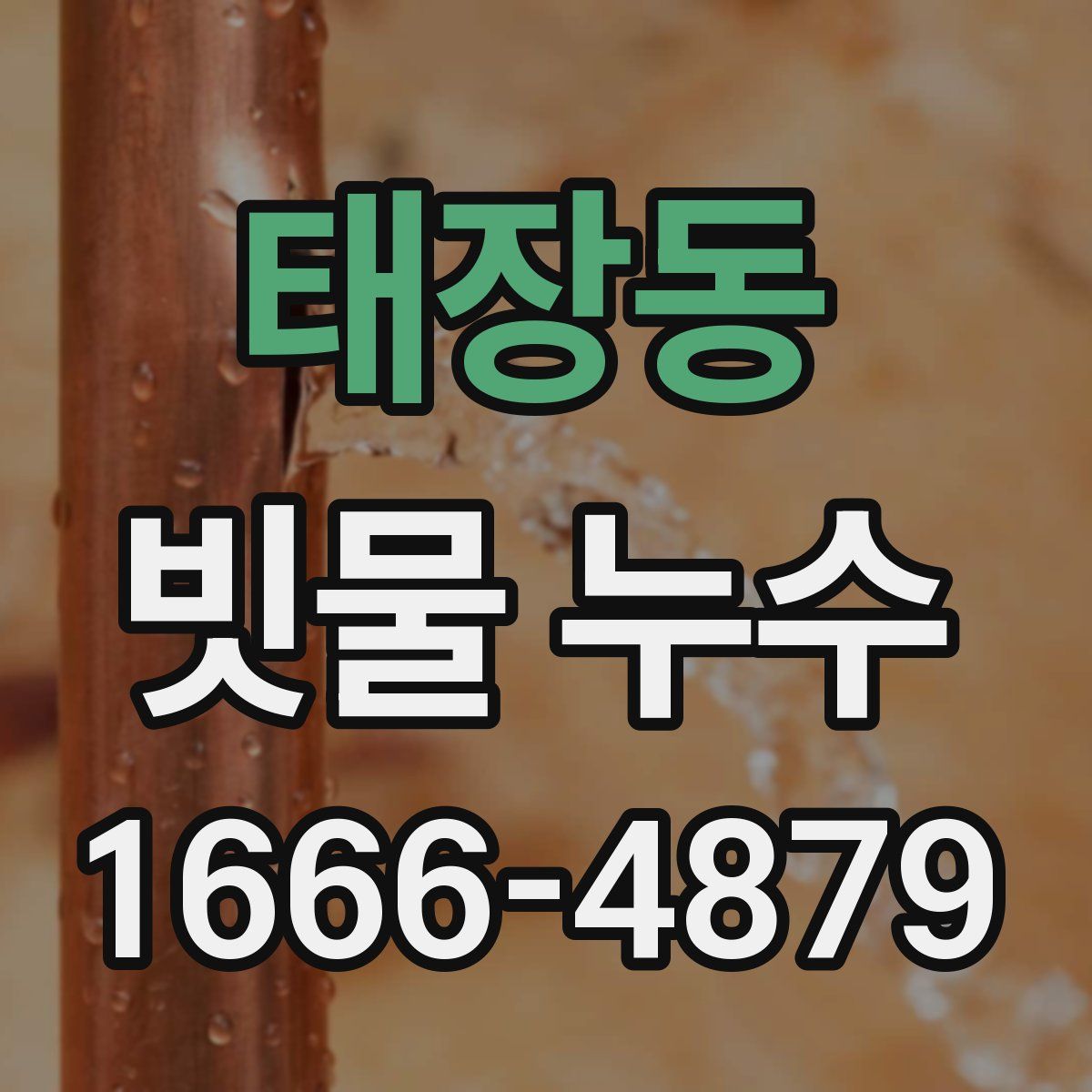 태장동 빗물 누수