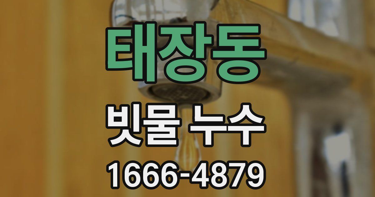 태장동 빗물 누수
