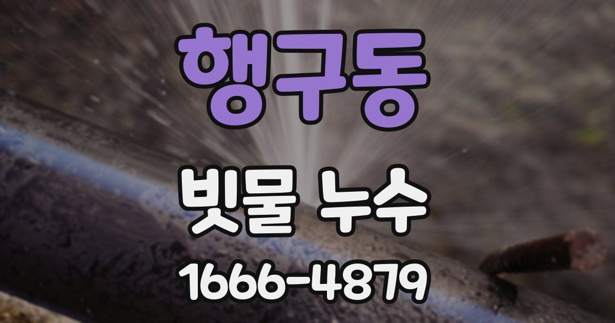 행구동 빗물 누수