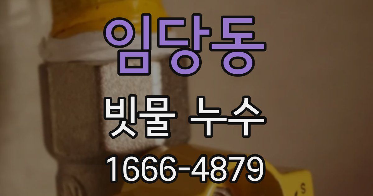 임당동 빗물 누수