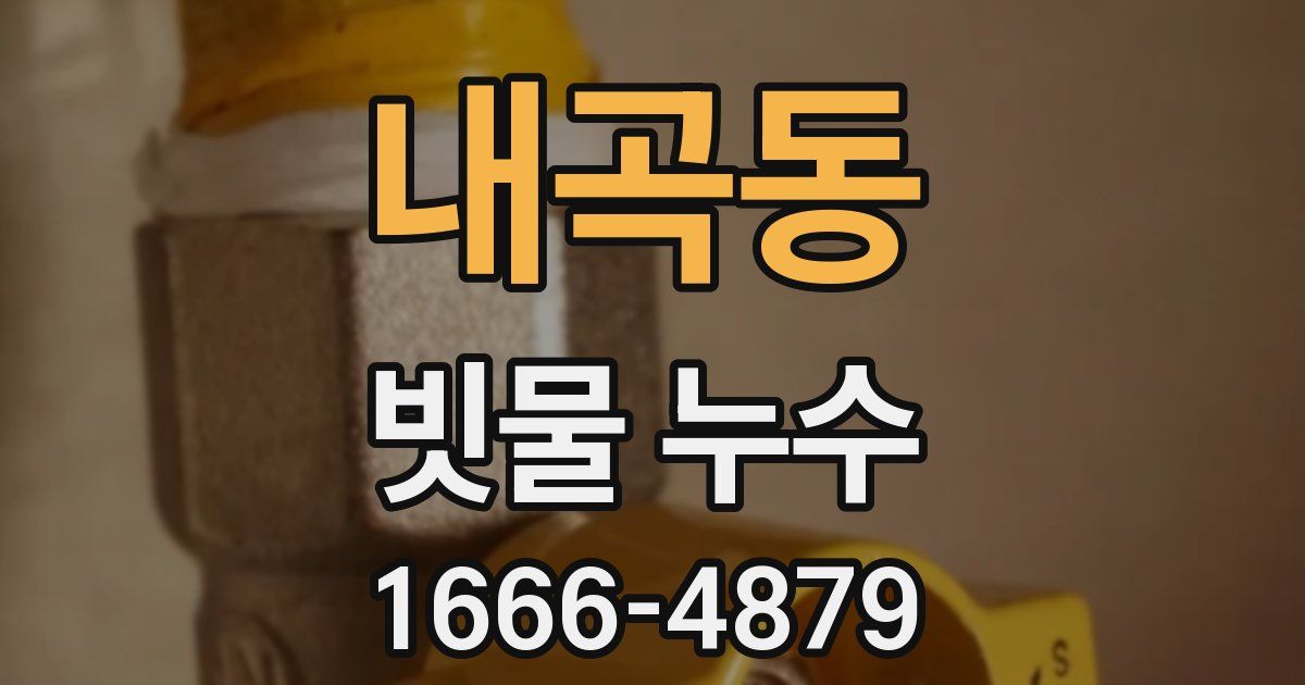 내곡동 빗물 누수