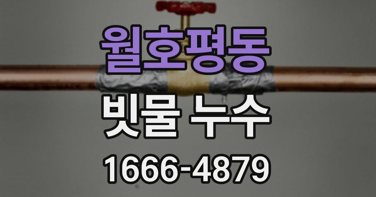 월호평동 빗물 누수