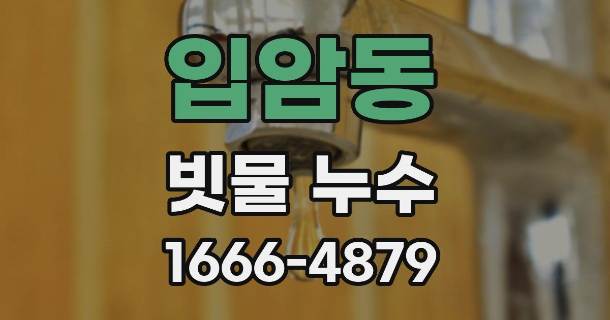 입암동 빗물 누수