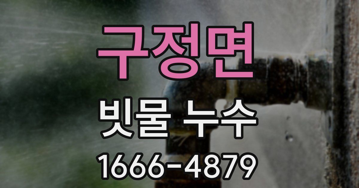 구정면 빗물 누수