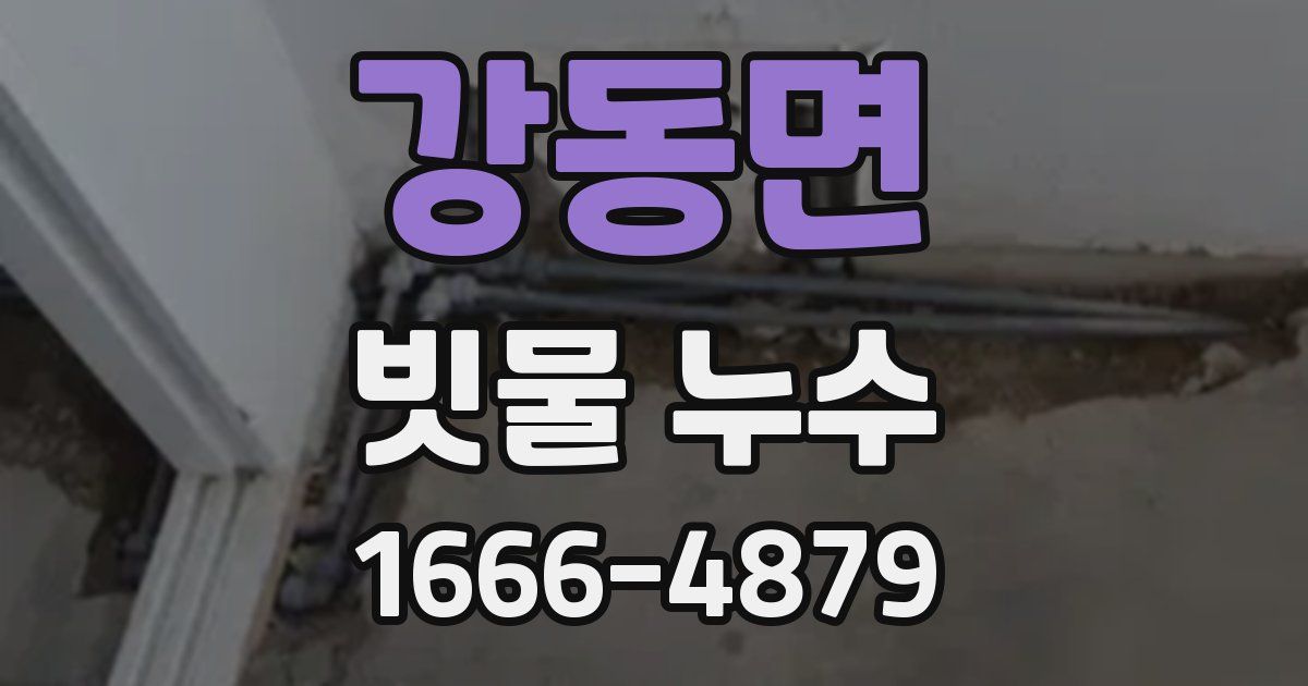 강동면 빗물 누수