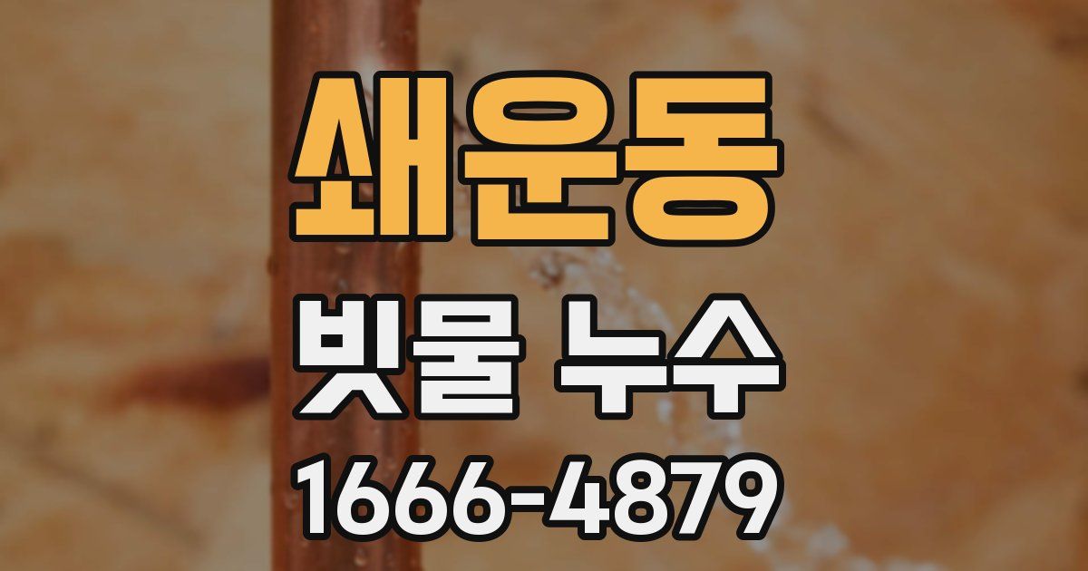 쇄운동 빗물 누수