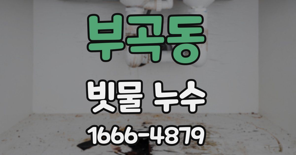 부곡동 빗물 누수