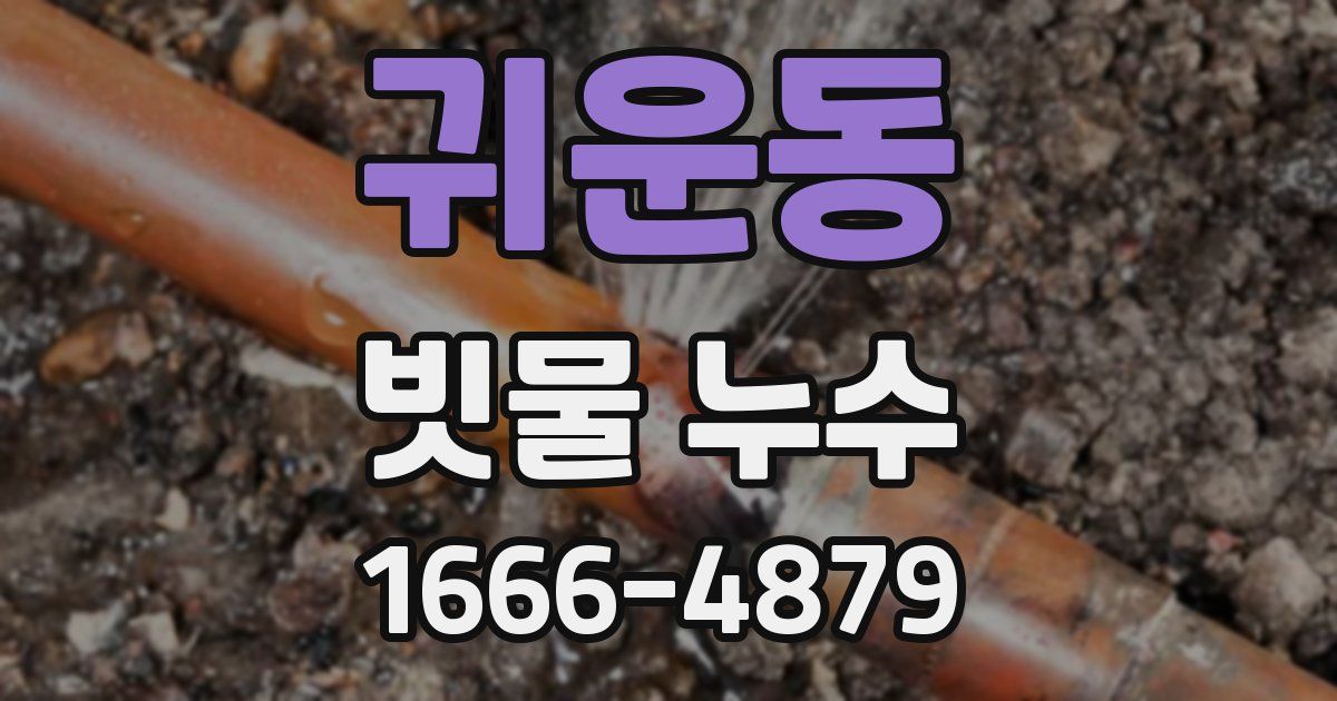 귀운동 빗물 누수