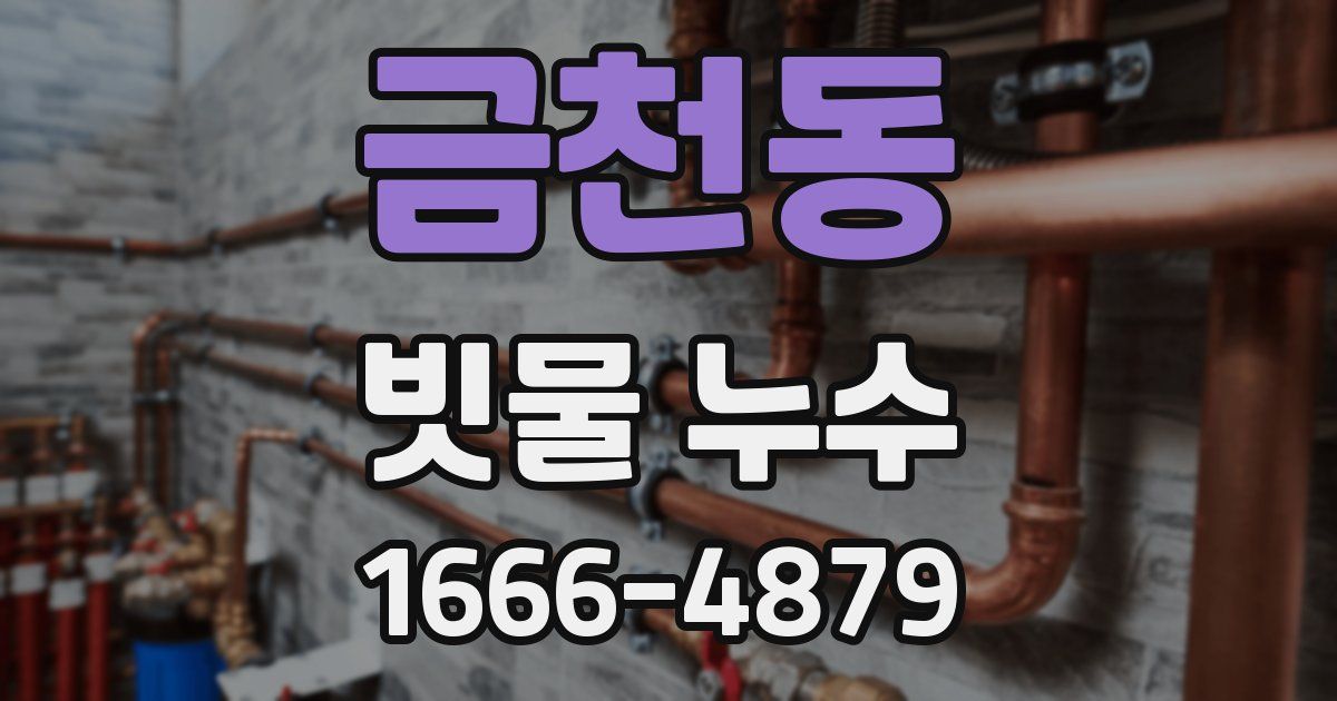 금천동 빗물 누수