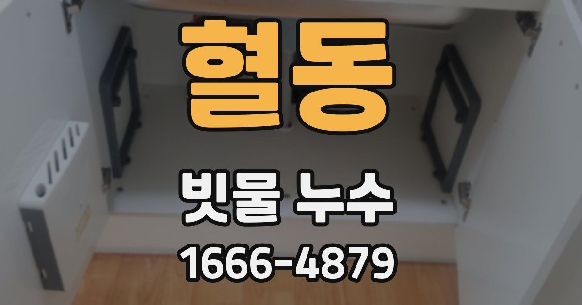 혈동 빗물 누수