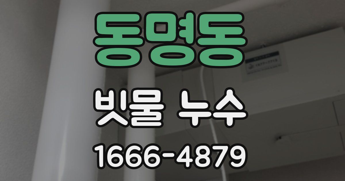 동명동 빗물 누수