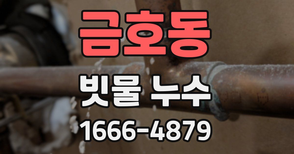 금호동 빗물 누수