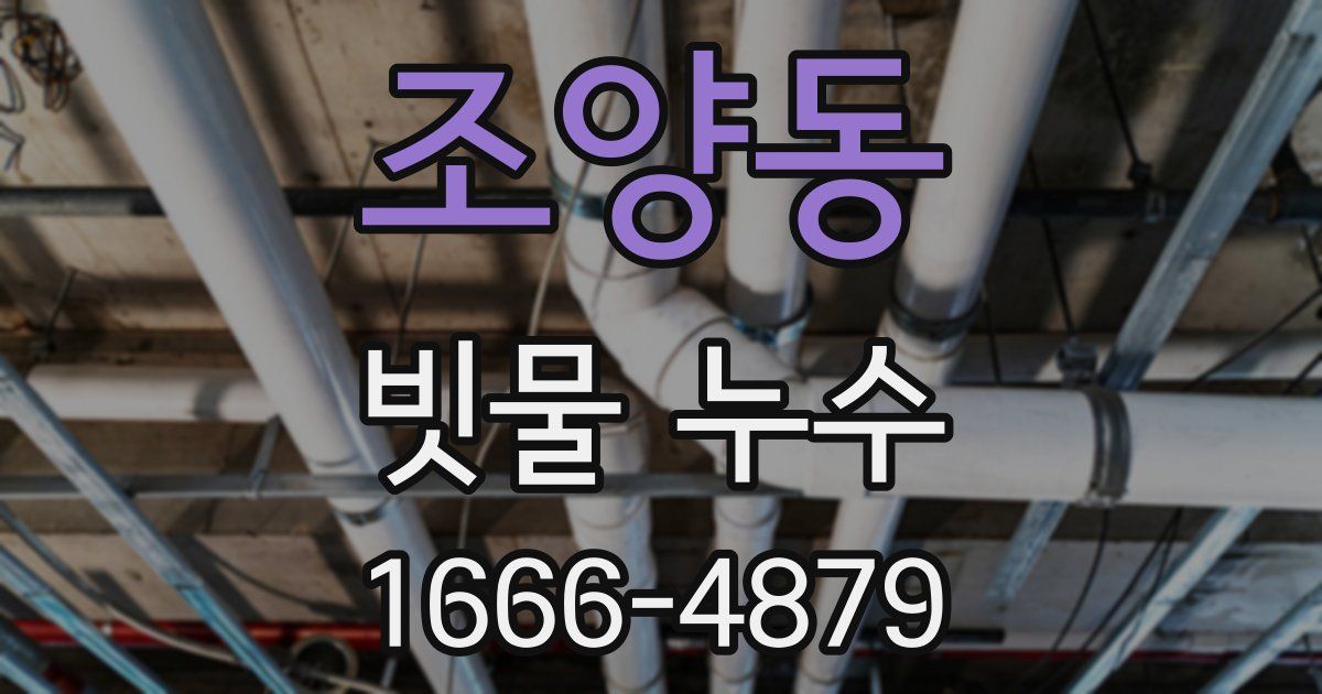 조양동 빗물 누수
