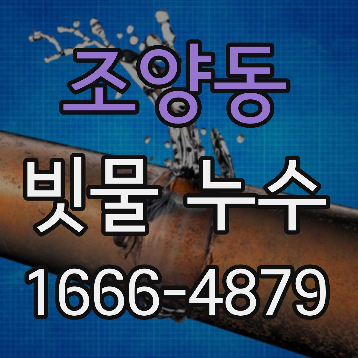 조양동 빗물 누수