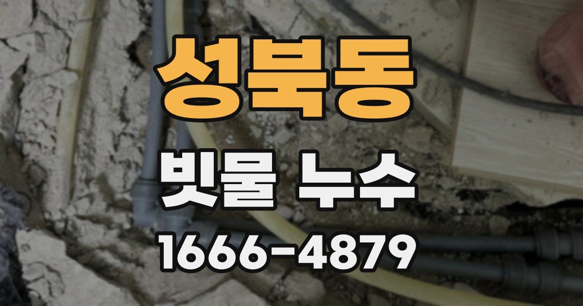 성북동 빗물 누수