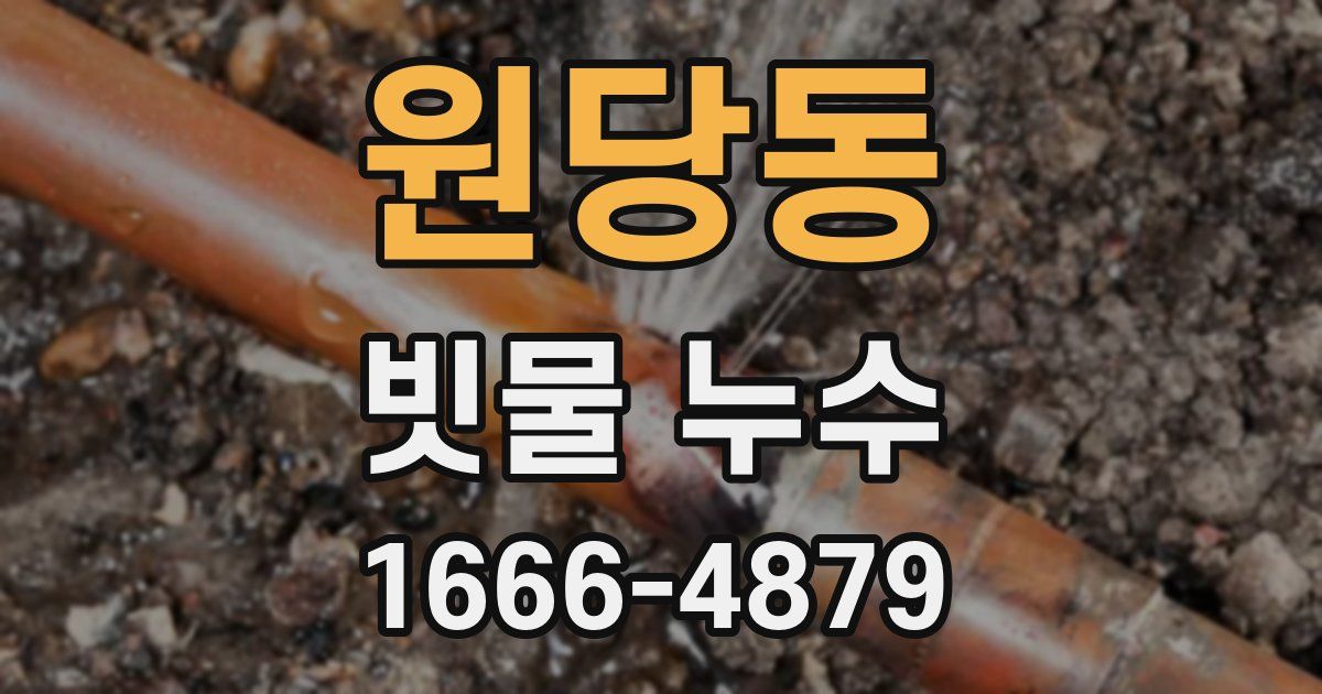 원당동 빗물 누수