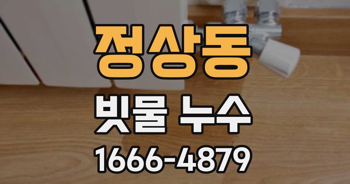 정상동 빗물 누수