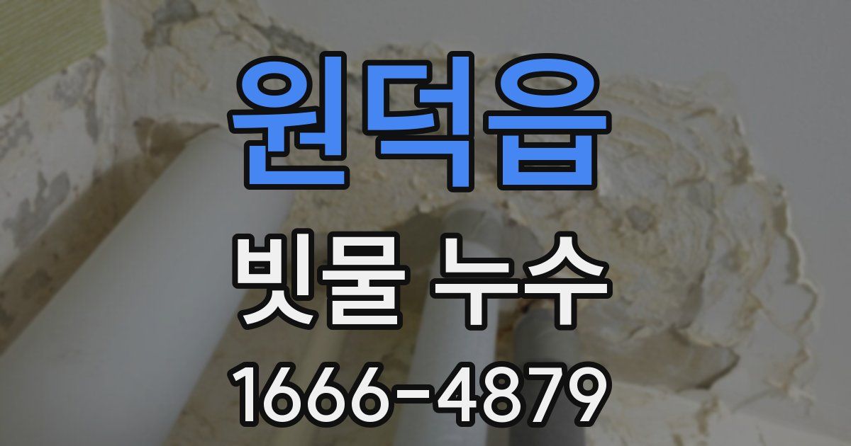 원덕읍 빗물 누수
