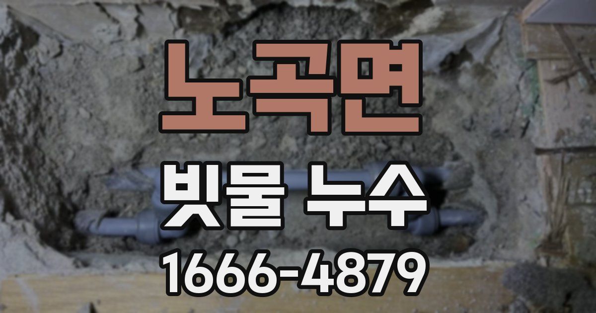 노곡면 빗물 누수