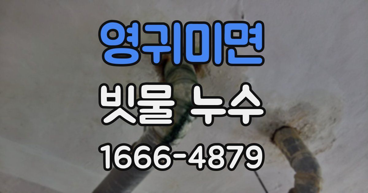 영귀미면 빗물 누수