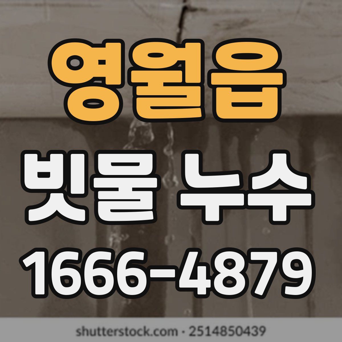 영월읍 빗물 누수