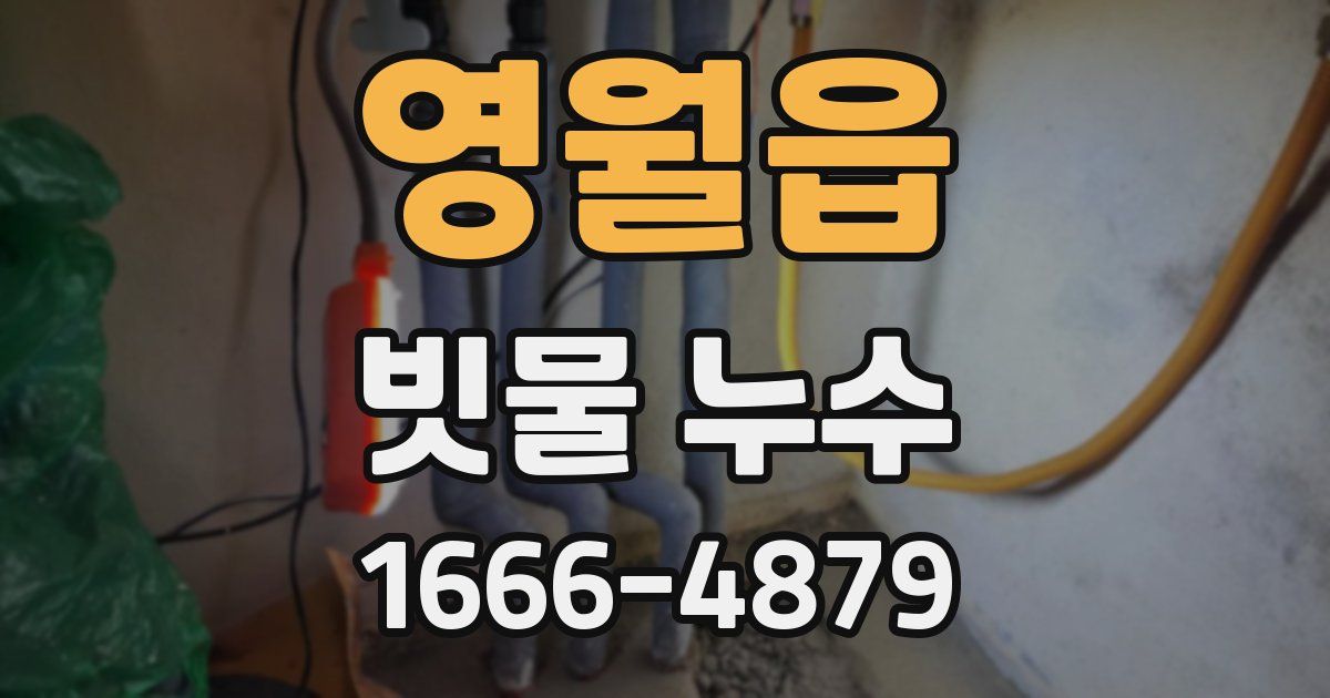 영월읍 빗물 누수