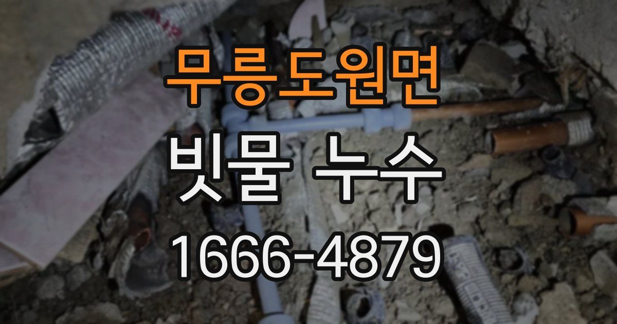무릉도원면 빗물 누수