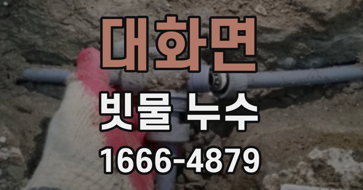 대화면 빗물 누수