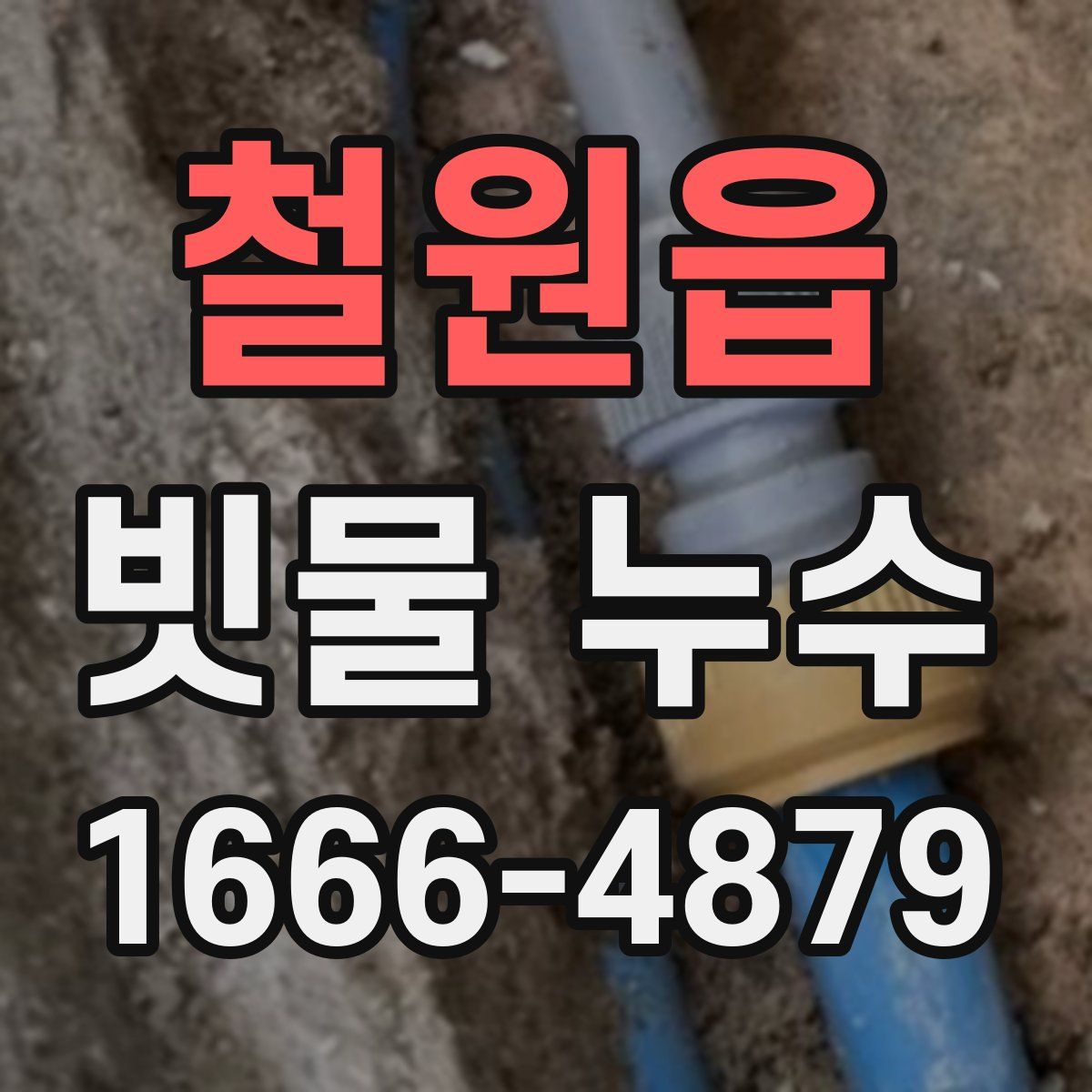 철원읍 빗물 누수