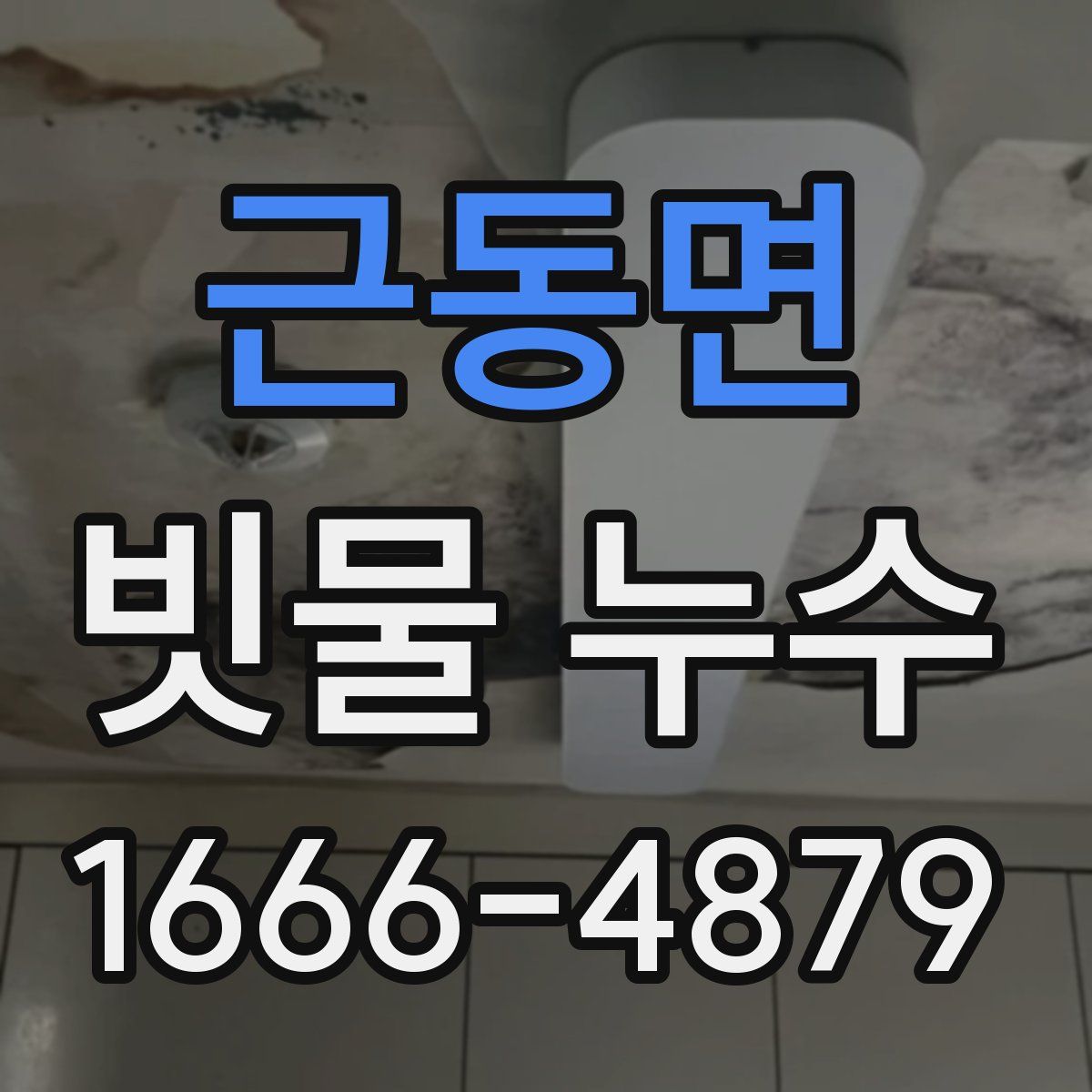 근동면 빗물 누수