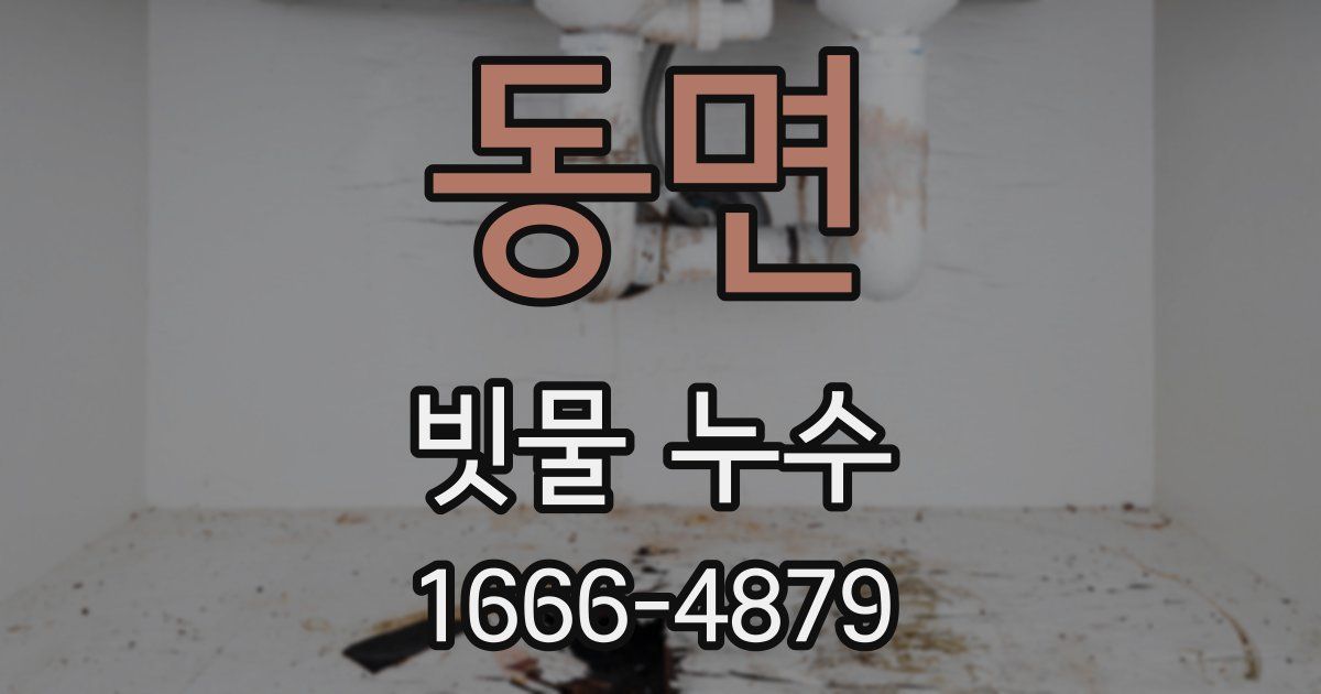 동면 빗물 누수