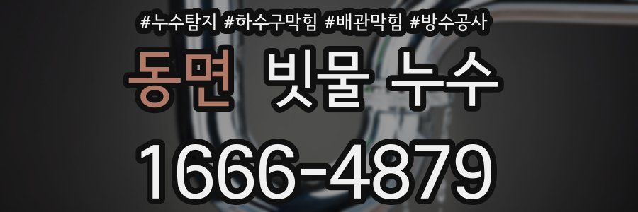 동면 빗물 누수