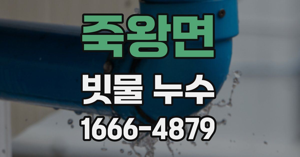 죽왕면 빗물 누수